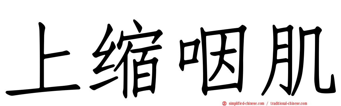 上缩咽肌