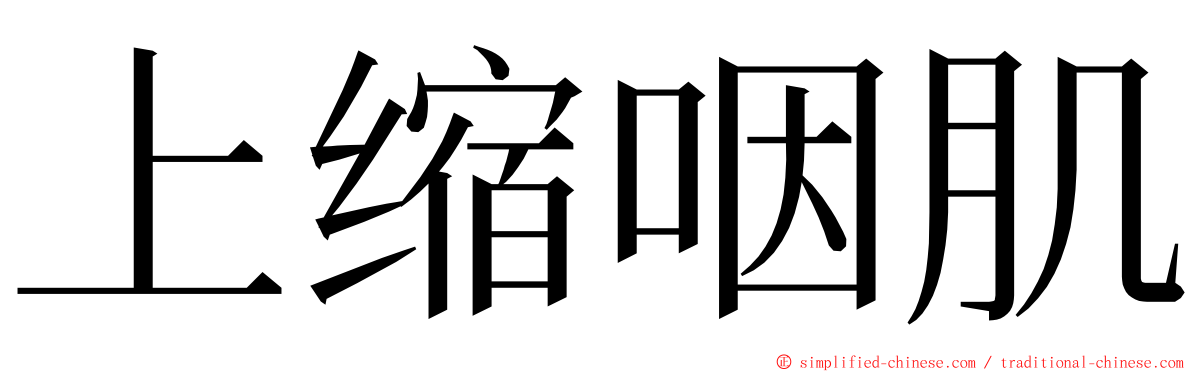 上缩咽肌 ming font