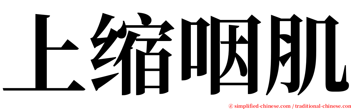 上缩咽肌 serif font