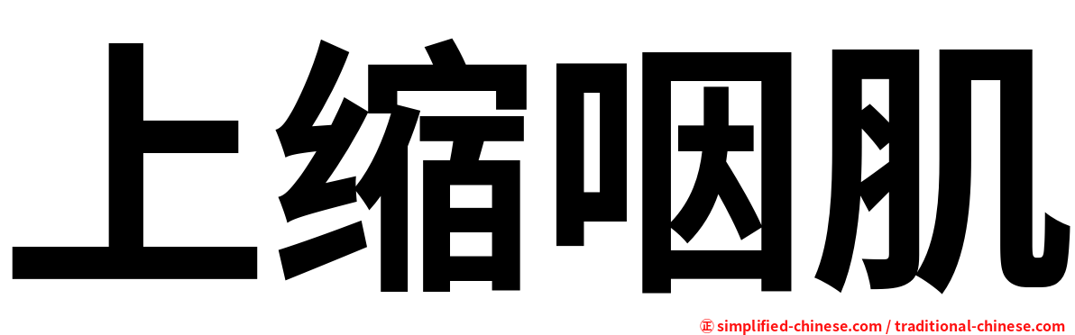 上缩咽肌