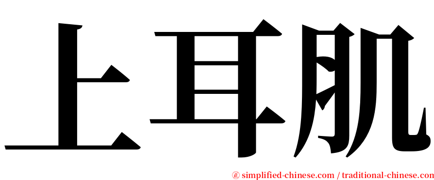 上耳肌 serif font
