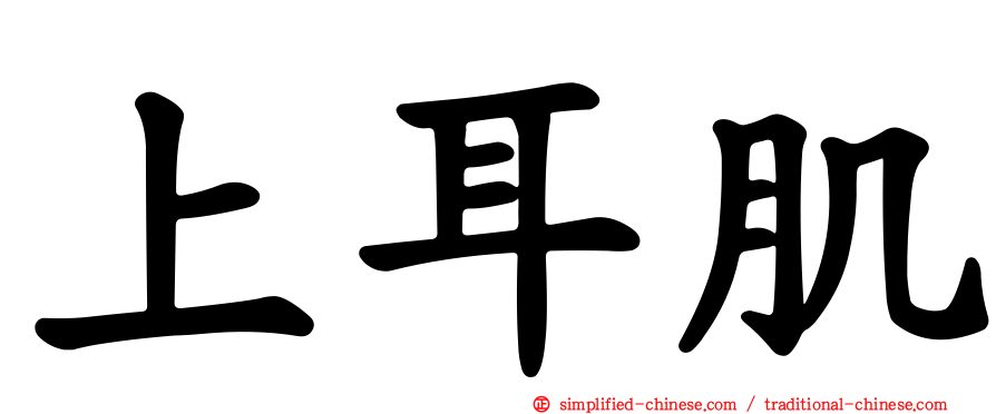 上耳肌