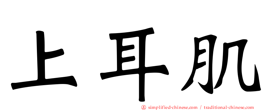 上耳肌