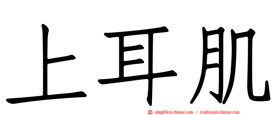 上耳肌