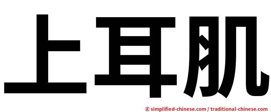 上耳肌