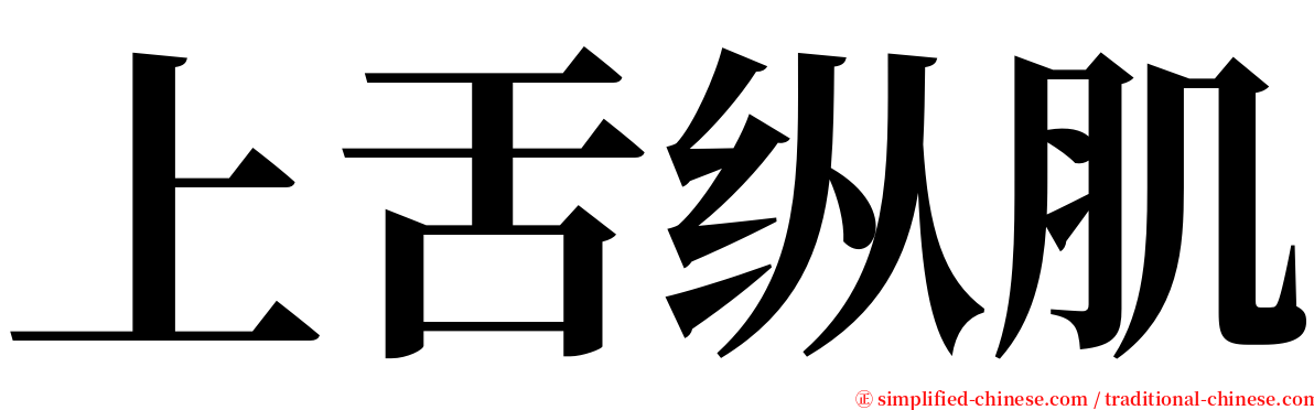 上舌纵肌 serif font