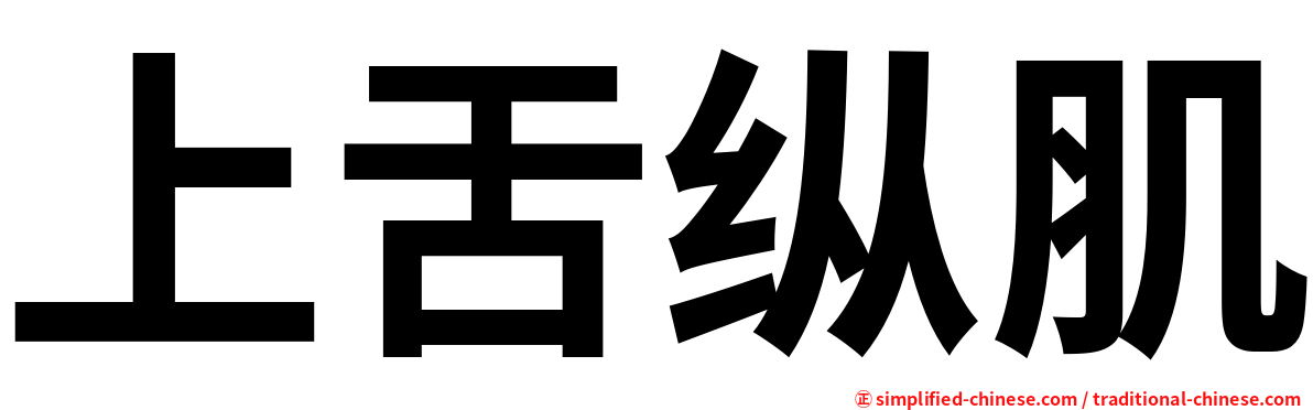 上舌纵肌
