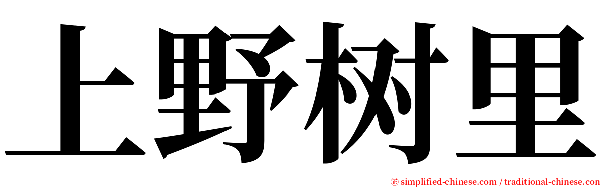 上野树里 serif font