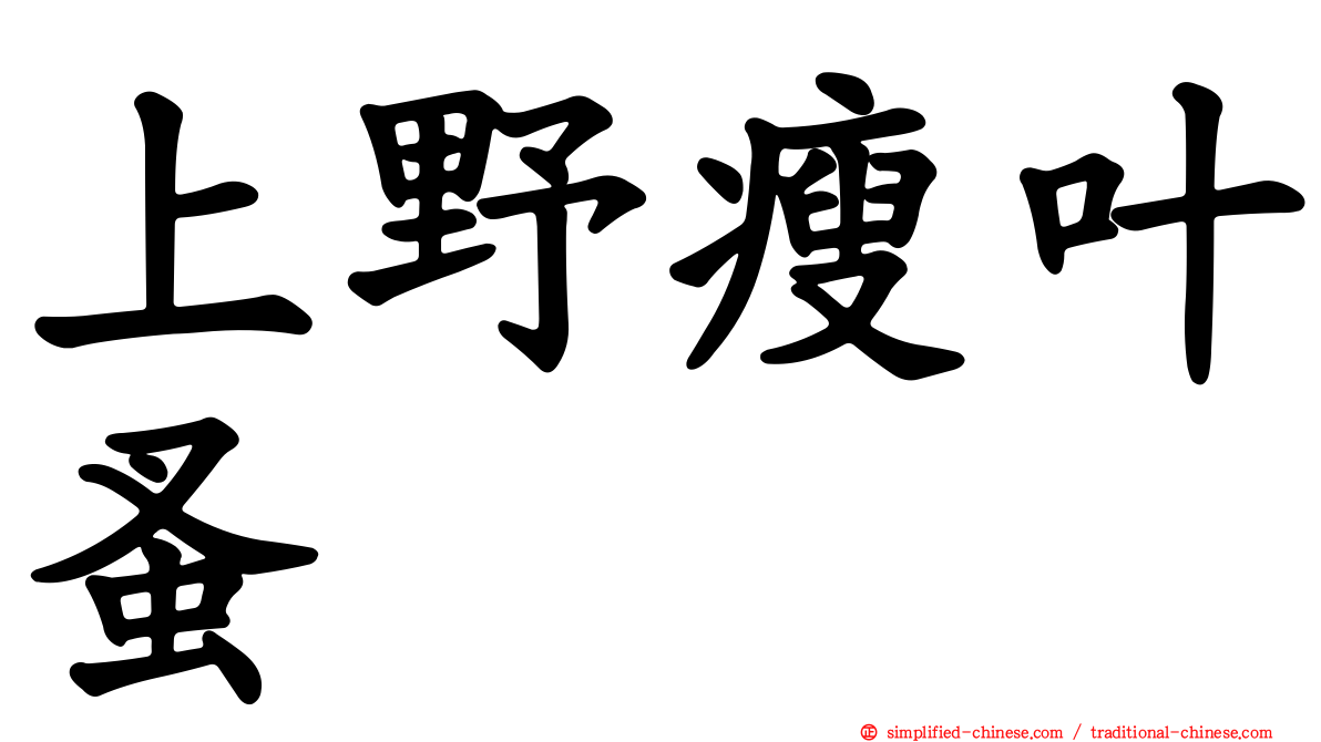 上野瘦叶蚤