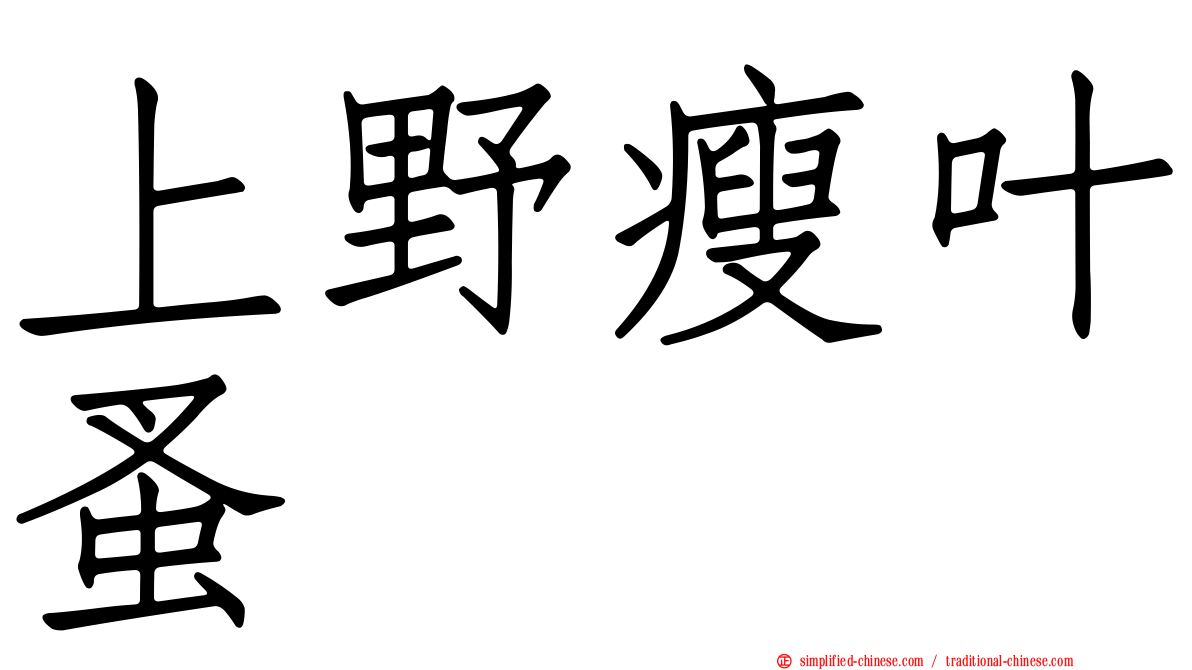 上野瘦叶蚤