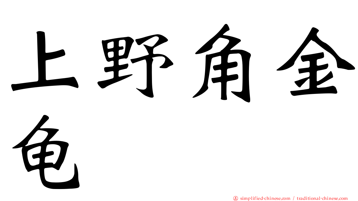 上野角金龟