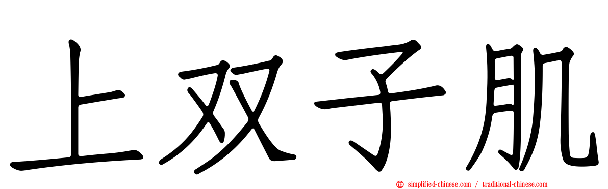 上双子肌