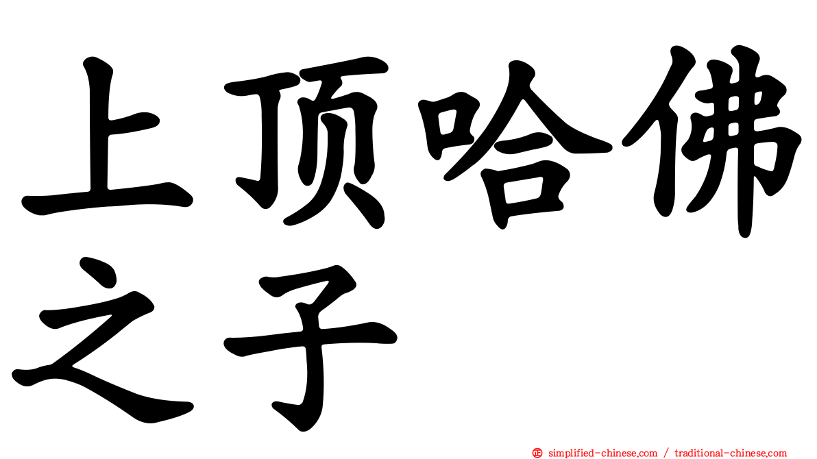 上顶哈佛之子
