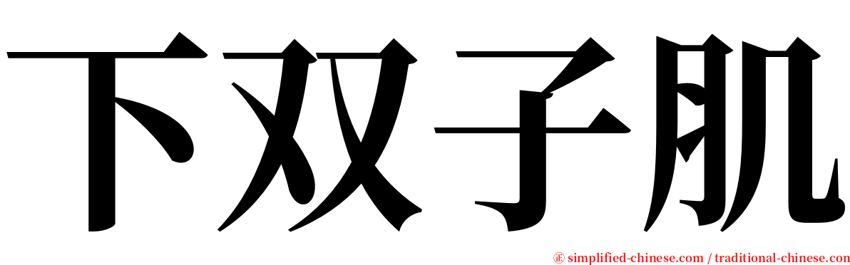 下双子肌 serif font