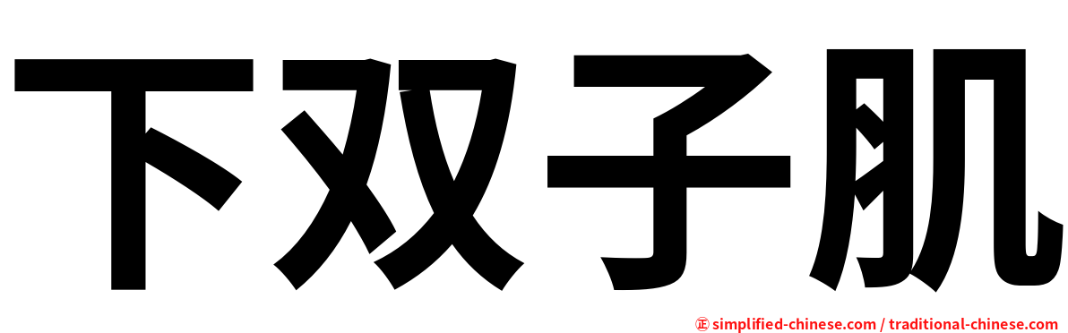 下双子肌