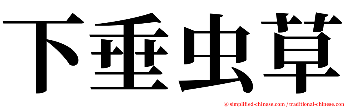下垂虫草 serif font