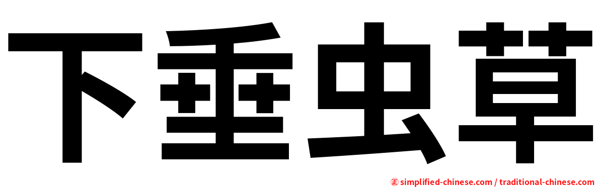 下垂虫草