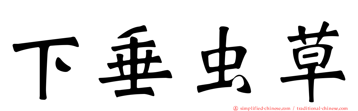 下垂虫草