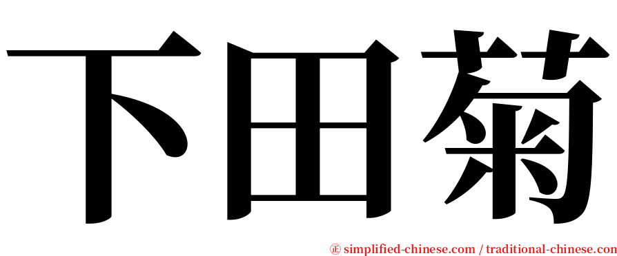 下田菊 serif font
