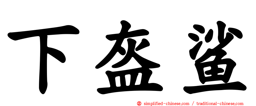下盔鲨