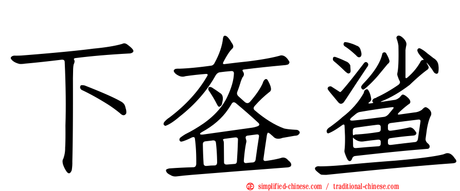 下盔鲨