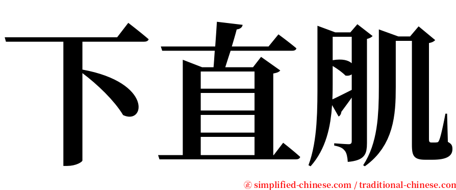 下直肌 serif font