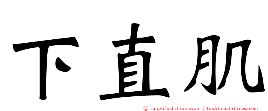 下直肌