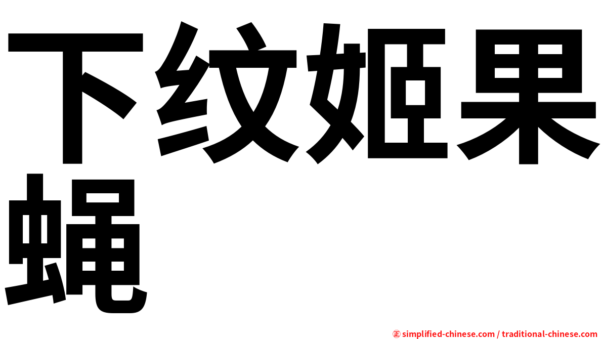 下纹姬果蝇