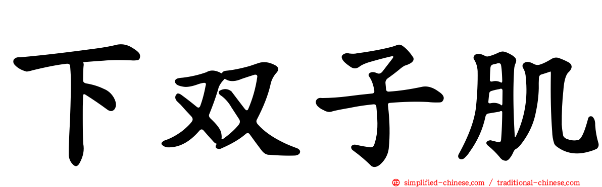 下双子肌