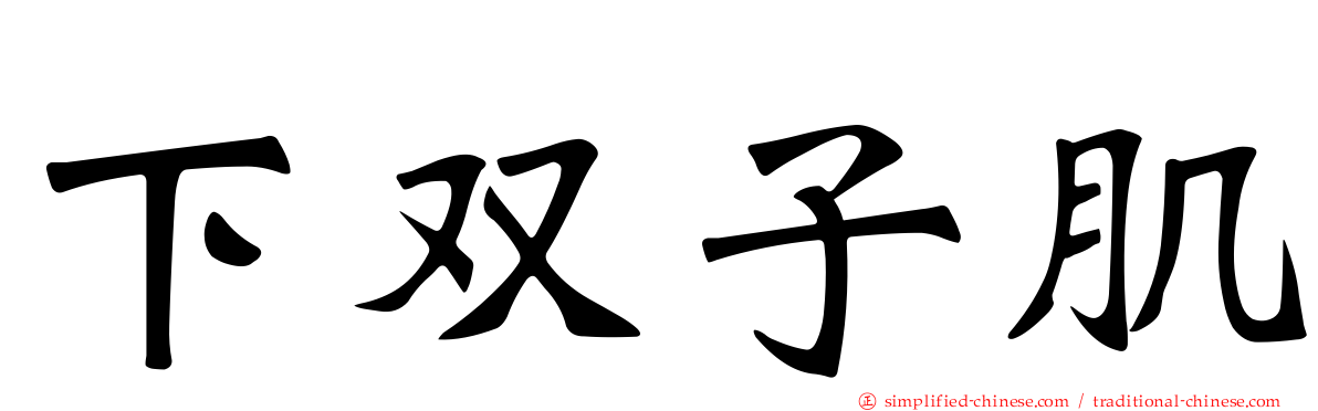 下双子肌