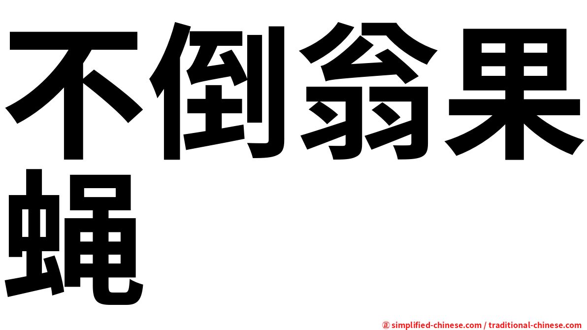 不倒翁果蝇