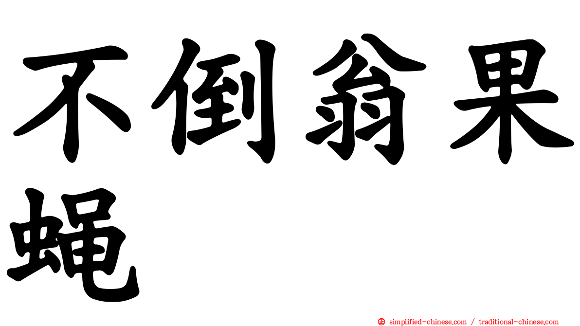 不倒翁果蝇