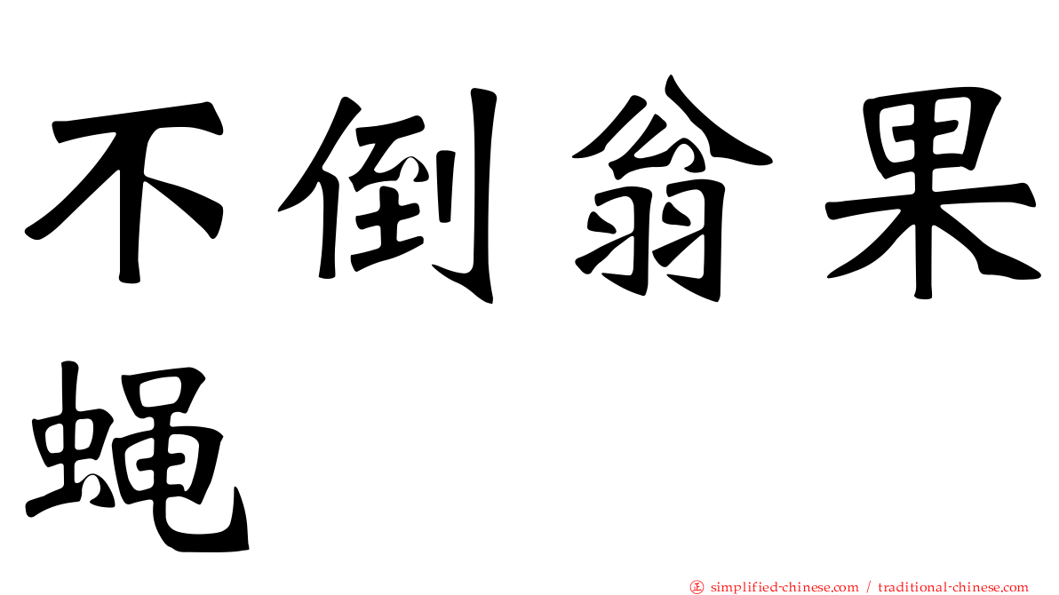 不倒翁果蝇