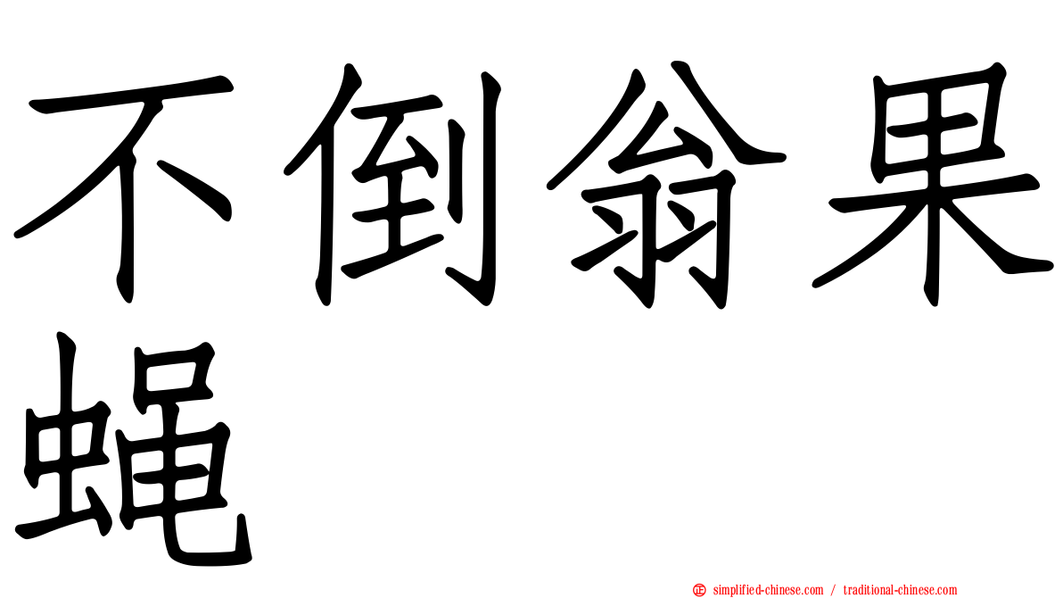 不倒翁果蝇