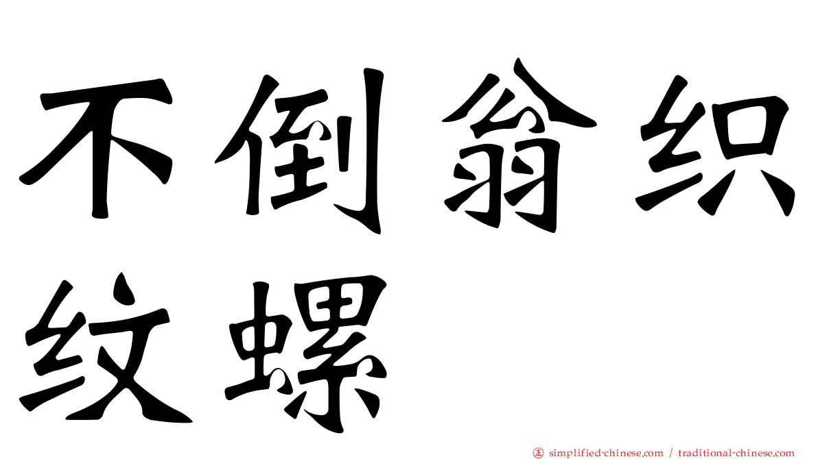 不倒翁织纹螺