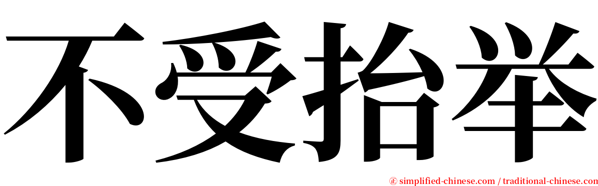 不受抬举 serif font