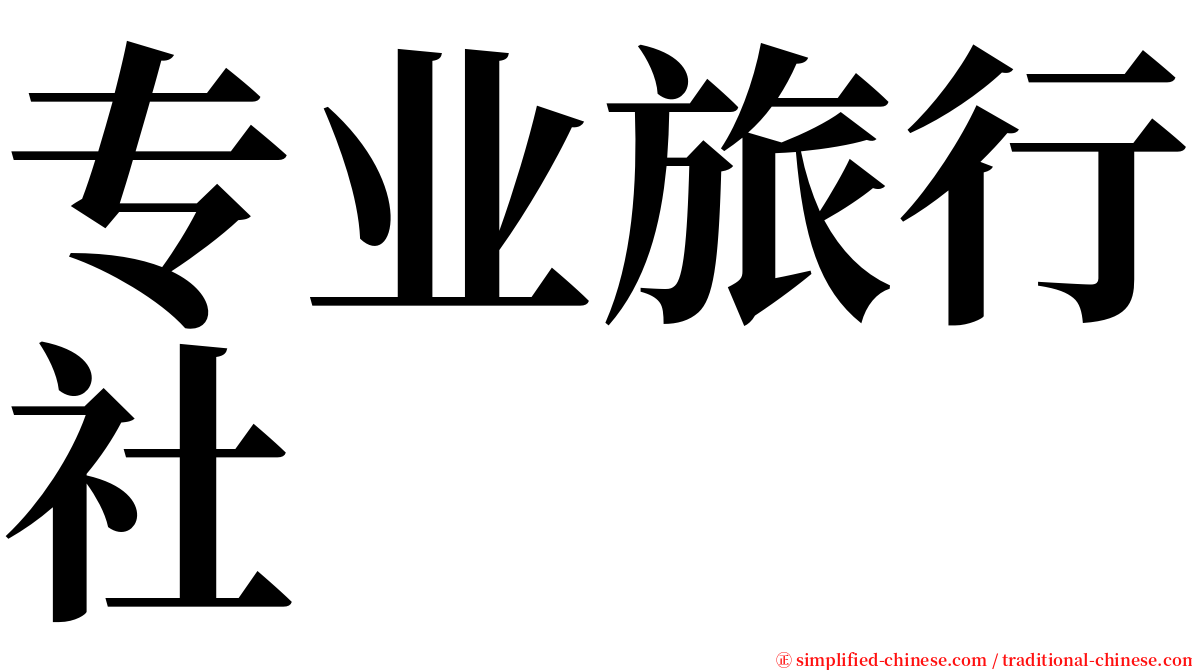 专业旅行社 serif font