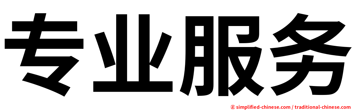 专业服务