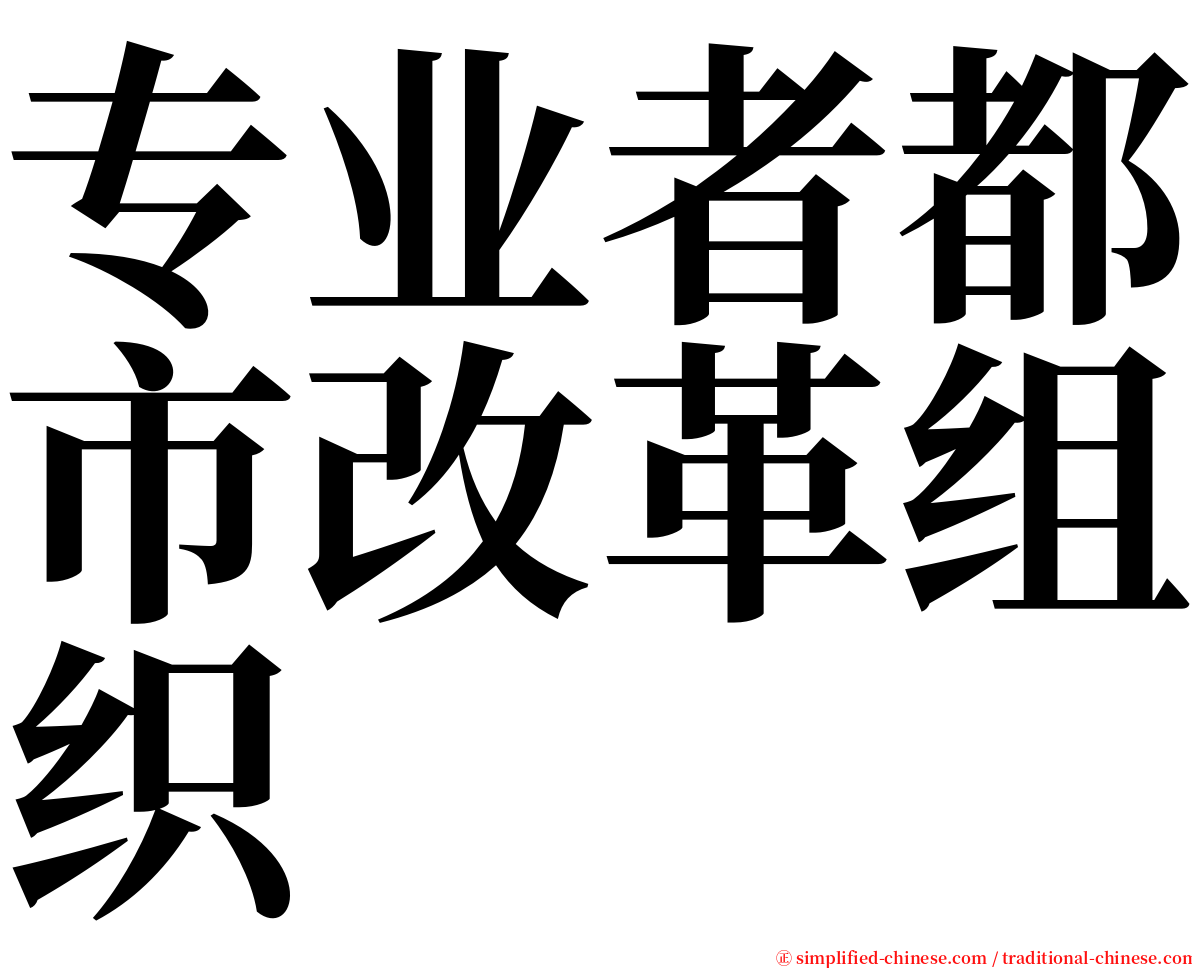 专业者都市改革组织 serif font