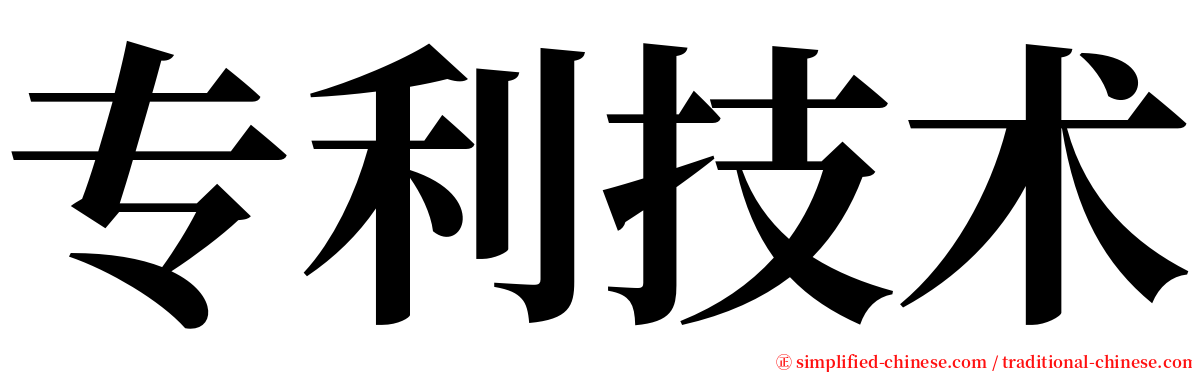 专利技术 serif font