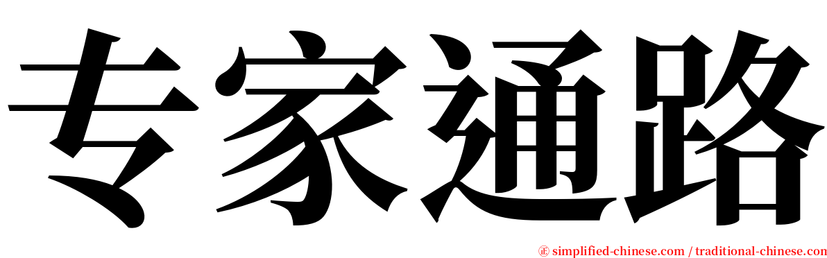 专家通路 serif font
