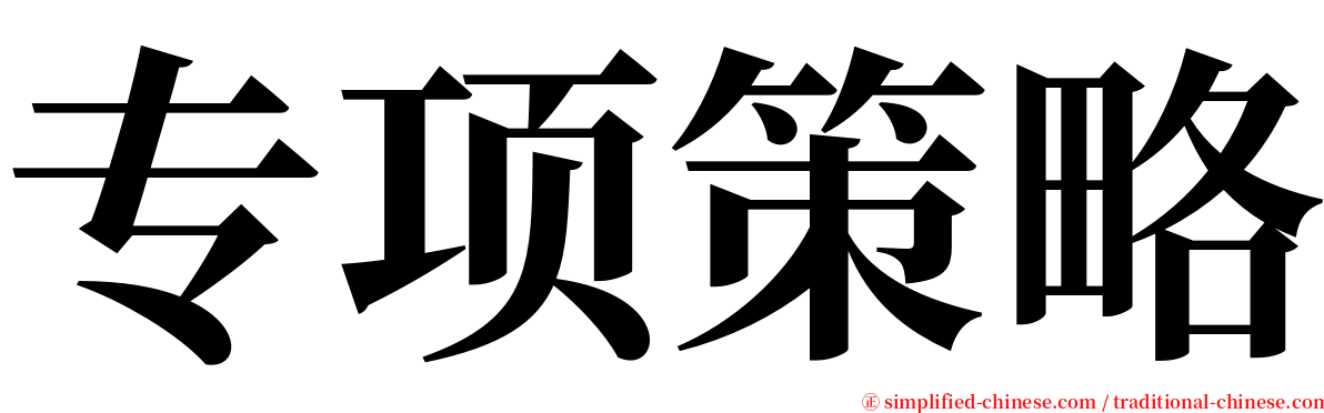 专项策略 serif font