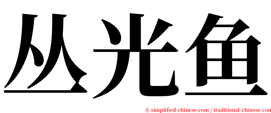 丛光鱼 serif font