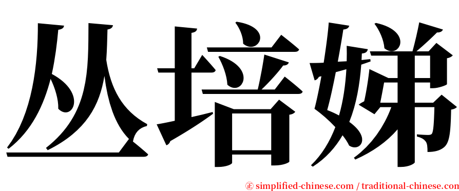丛培娣 serif font