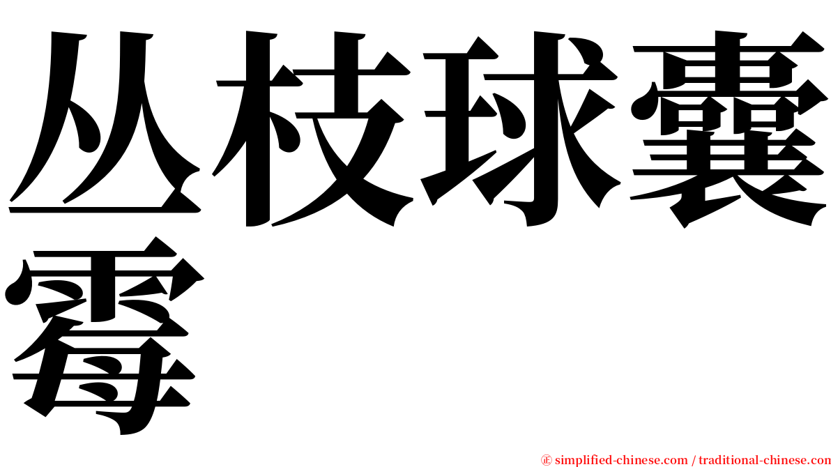丛枝球囊霉 serif font