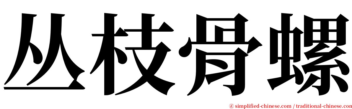 丛枝骨螺 serif font
