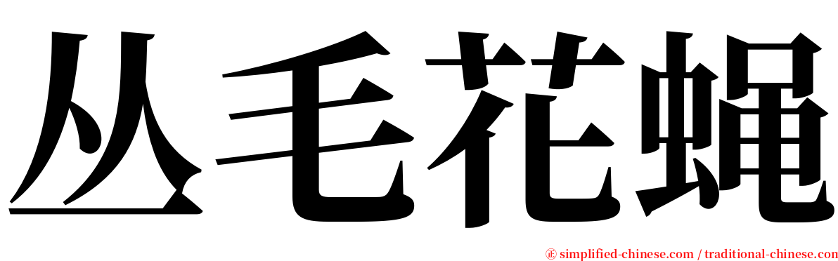 丛毛花蝇 serif font