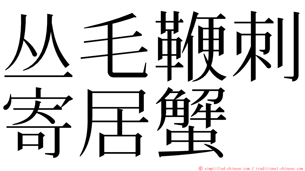 丛毛鞭刺寄居蟹 ming font