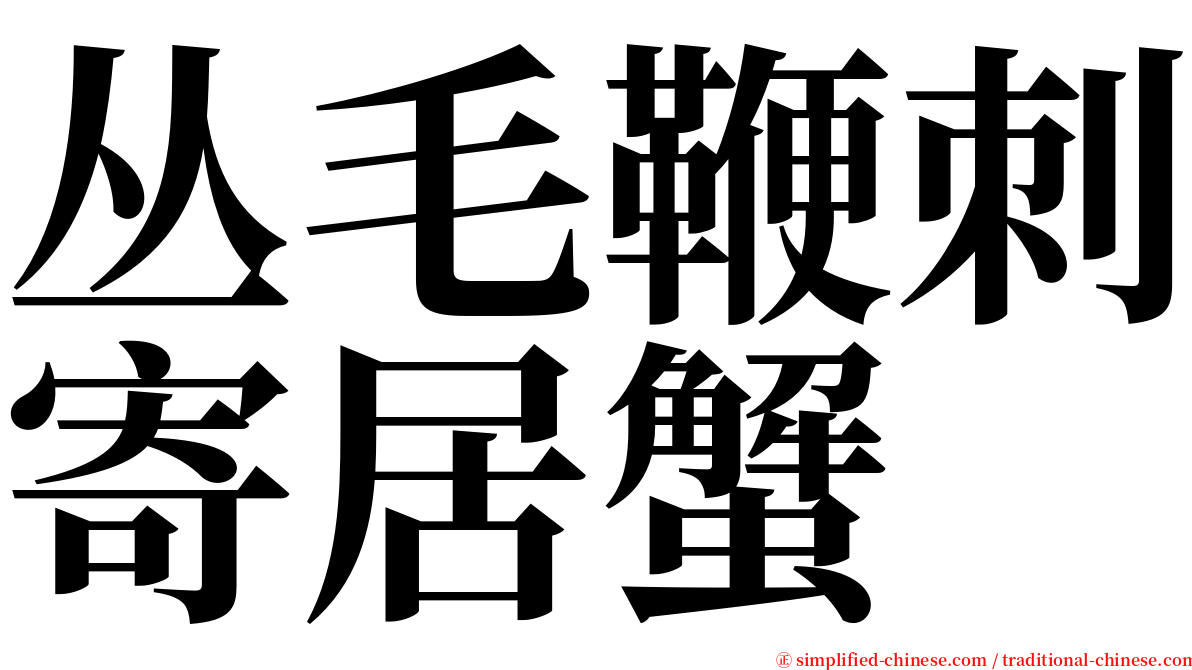 丛毛鞭刺寄居蟹 serif font
