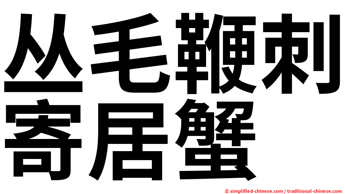 丛毛鞭刺寄居蟹